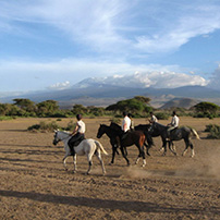 Zulu Ride Kenya
