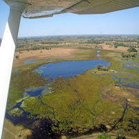 RS Bots-Okavango-lagoon-aeri202