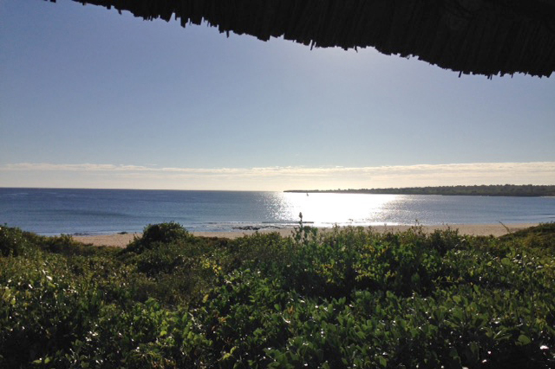 Mary explores the mozambique coast