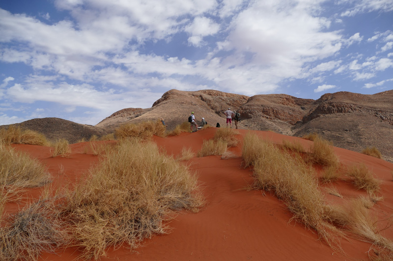 the-namib-desert---the-highest-dunes-in-the-world