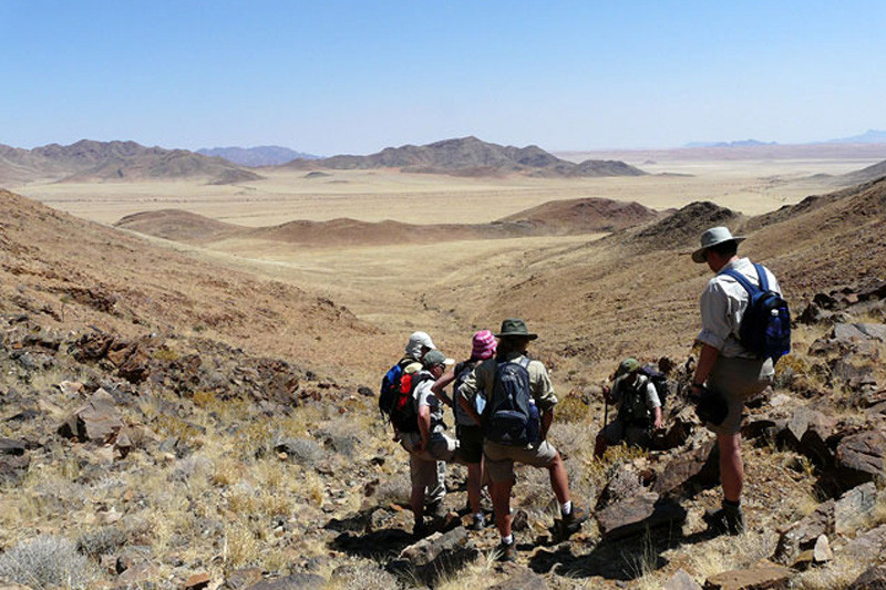 The Tok Tokkie Trail