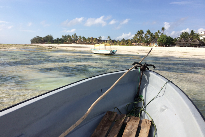 Julia travels to the Selous, Ruaha and Zanzibar