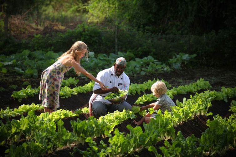 Elewana Tortilis Camp Vegetable Garden