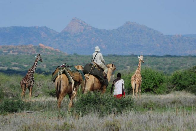 Karisia Walking Safaris Camel Safari