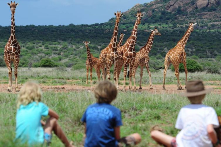 Karisia Walking Safaris Children watching Giraffe