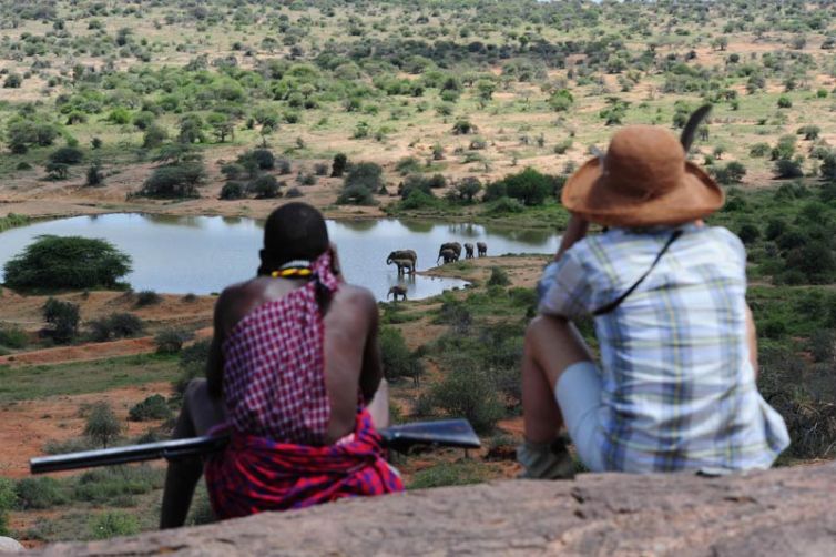 Karisia Walking Safaris Elephant Viewing at Height