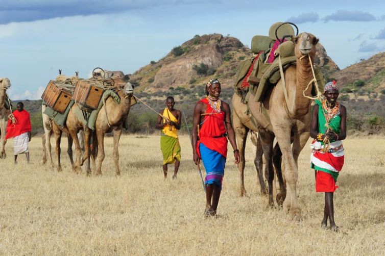 Karisia Walking Safaris Masai Camels