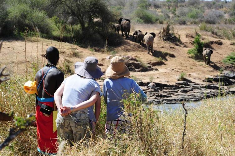 Karisia Walking Safaris Walking Elephant