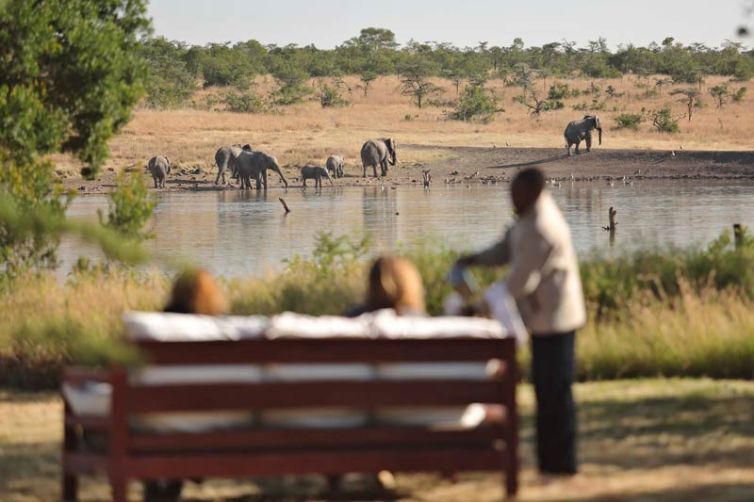 Kicheche Laikipia View