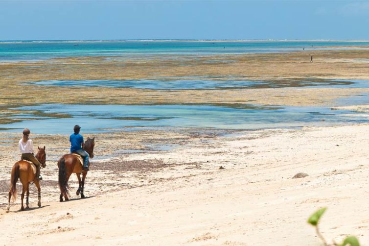 Kinondo Kwetu Horse Riding Beach