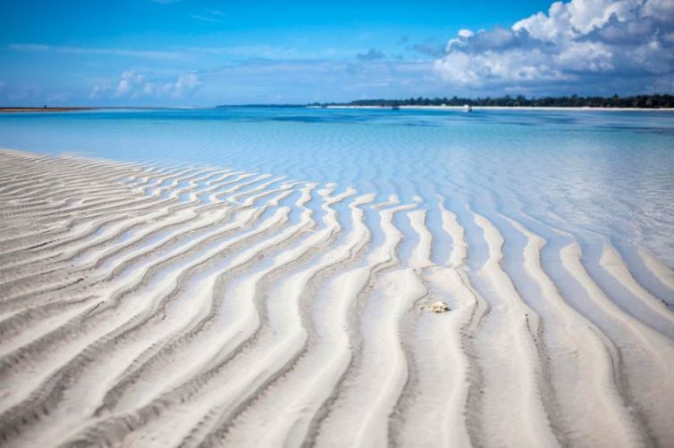 Kinondo Kwetu Robinson Sand Island