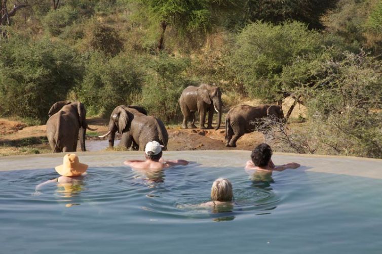 Sarara Camp Elephant Sarara House