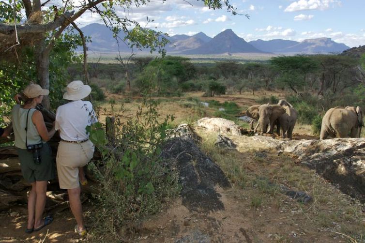 Sarara Camp watching elephants