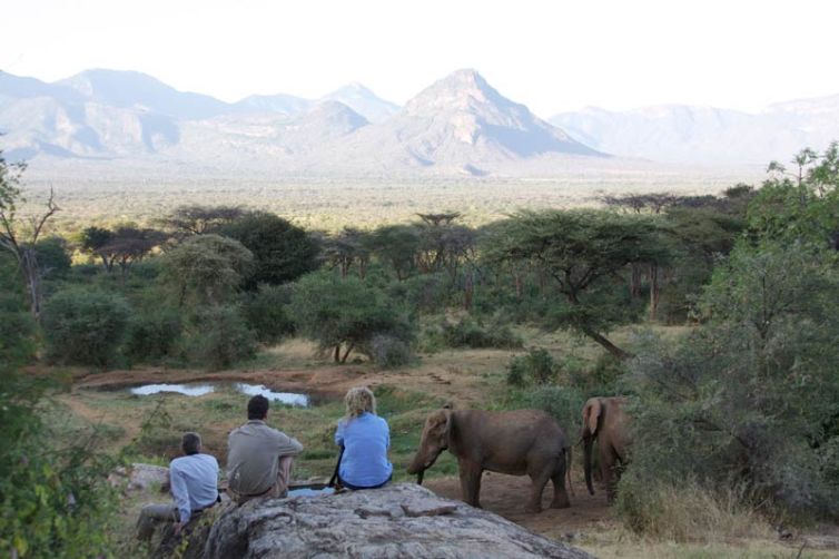Sarara Camp watching elephant matthews range