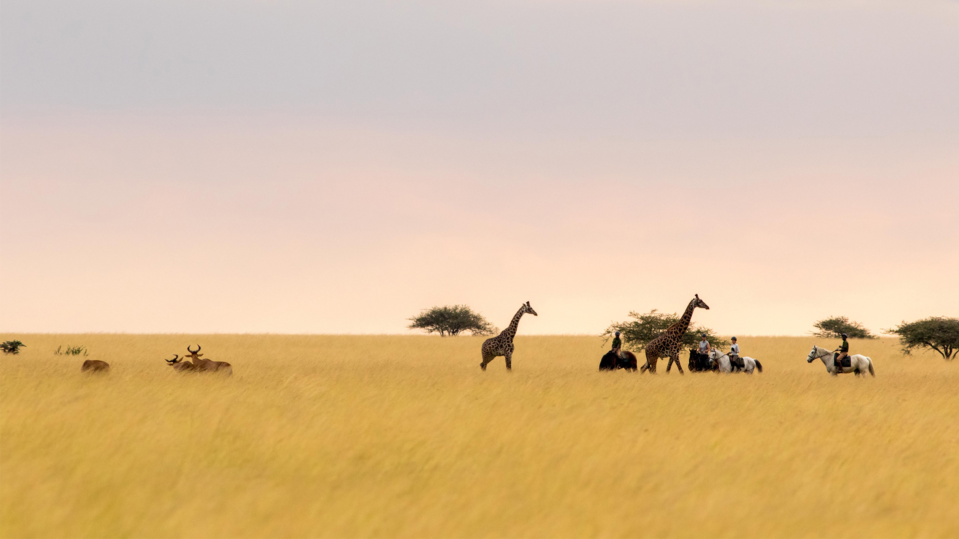 ride kenya horse safaris chyulus