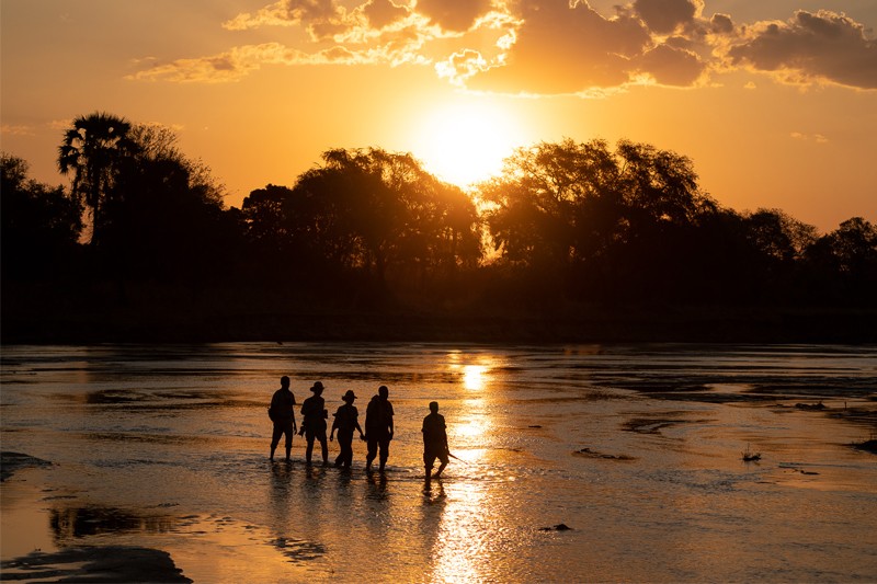 walking safaris banner sunset zambia