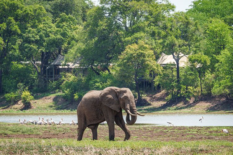 Chindeni Bushcamp - Safari Consultants - Africa Safari Holiday Specialists