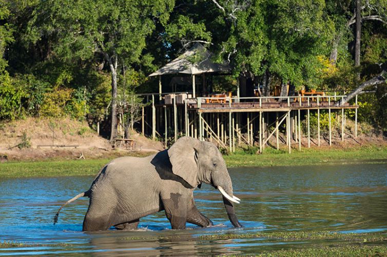 Chindeni Bushcamp - Safari Consultants - Africa Safari Holiday Specialists