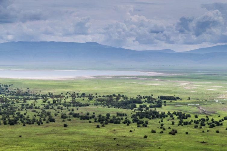 Gibbs Farm Ngorongoro Crater