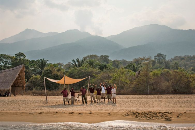 Greystoke Mahale arrival