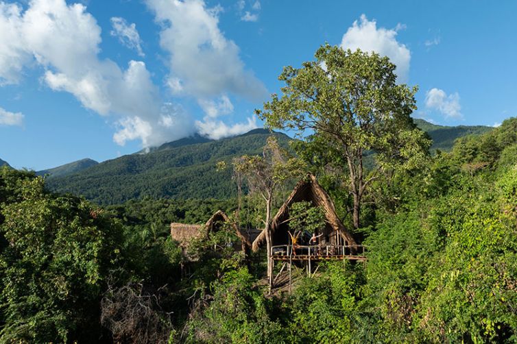 Greystoke Mahale | Wild Chimpanzee Safaris