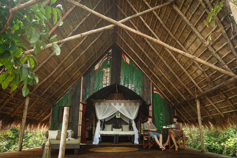 Greystoke Mahale | Wild Chimpanzee Safaris