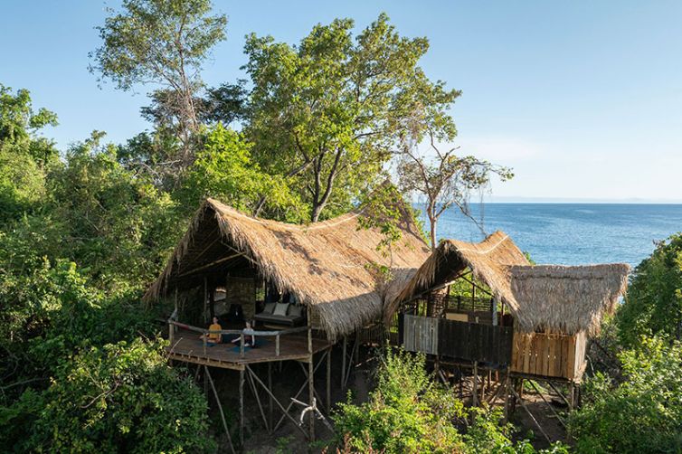 Greystoke Mahale | Wild Chimpanzee Safaris