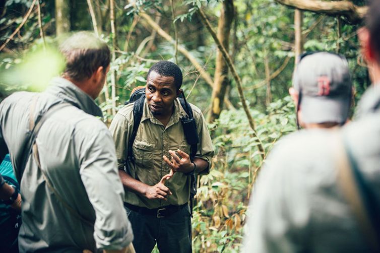 Greystoke Mahale | Wild Chimpanzee Safaris