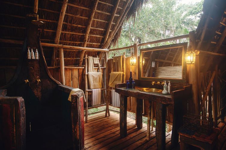 Greystoke Mahale | Wild Chimpanzee Safaris