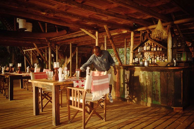 Greystoke Mahale | Wild Chimpanzee Safaris