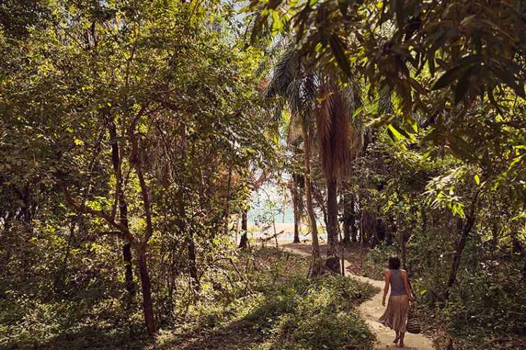 Greystoke Mahale | Wild Chimpanzee Safaris