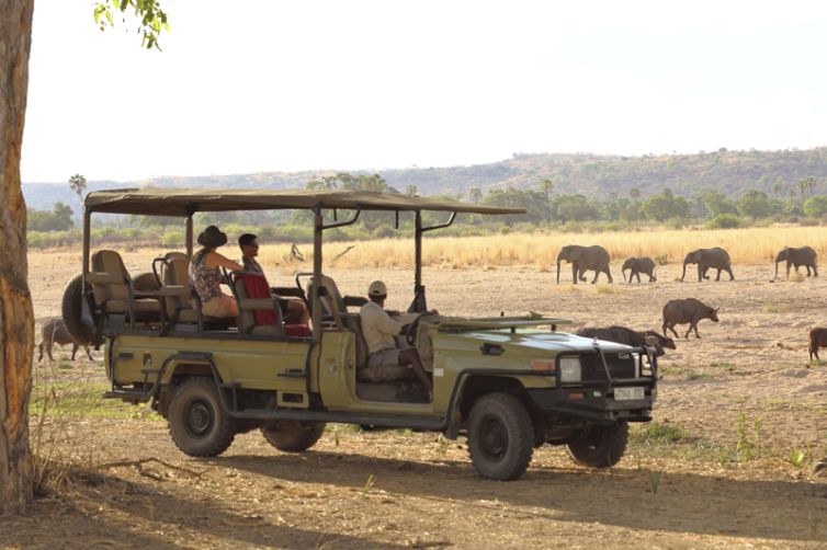 Jabali Ridge game drive elephant buffalo
