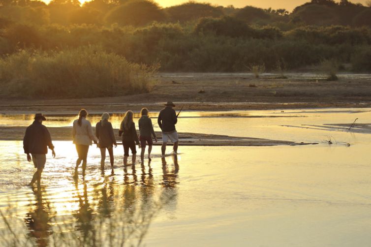 Kichaka Expeditions bush walk river