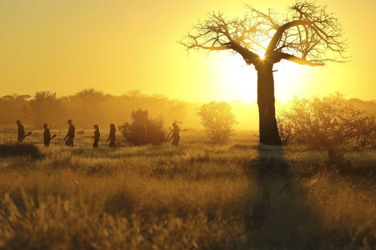 Kichaka Expeditions family bush walk