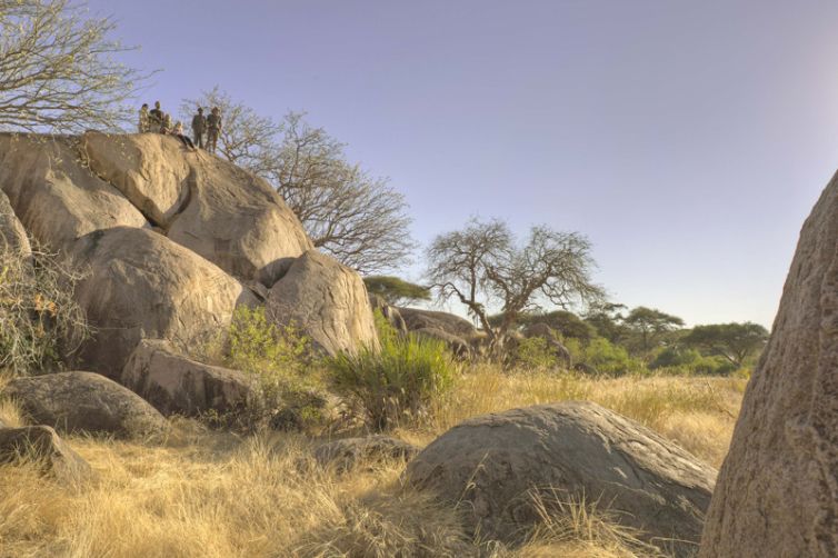 Kichaka Expeditions walking kopjes
