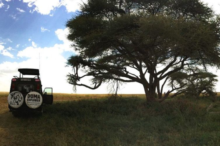 Kichuguu Camp game drive