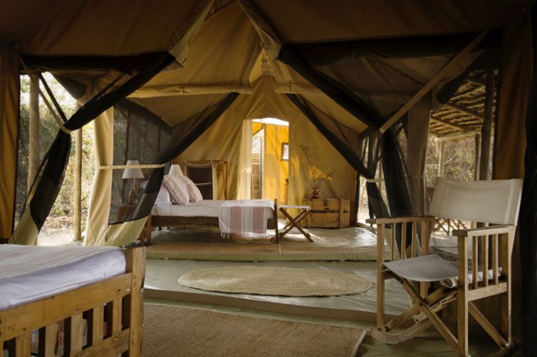 Kigelia Ruaha family tent