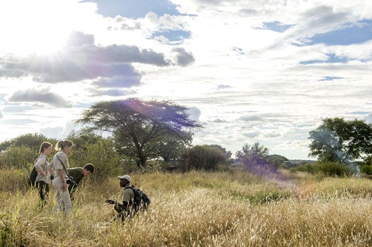 Kuro, Tarangire National Park in Tanzania - Safari Consultants - Africa Safari Holiday Specialists