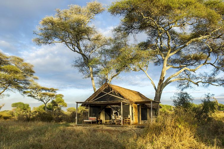 Kuro, Tarangire National Park in Tanzania - Safari Consultants - Africa Safari Holiday Specialists