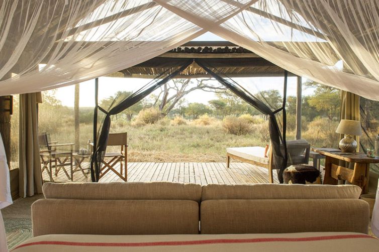 Kuro, Tarangire National Park in Tanzania - Safari Consultants - Africa Safari Holiday Specialists