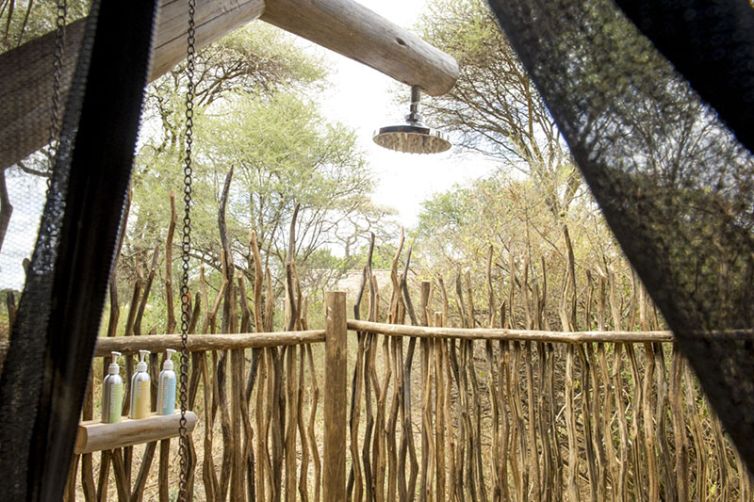 Kuro, Tarangire National Park in Tanzania - Safari Consultants - Africa Safari Holiday Specialists