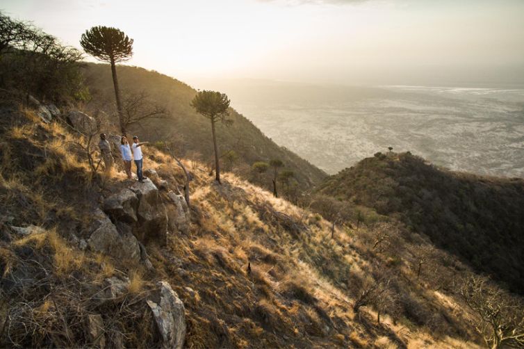 Mwiba Lodge landscape