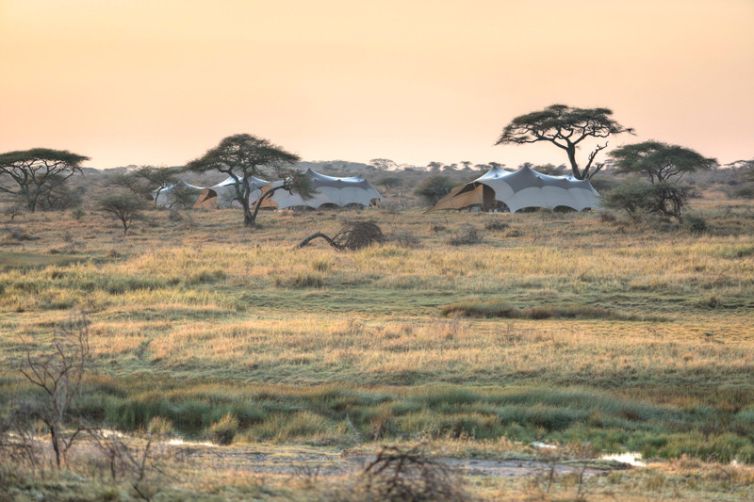 Namiri Plains camp overview