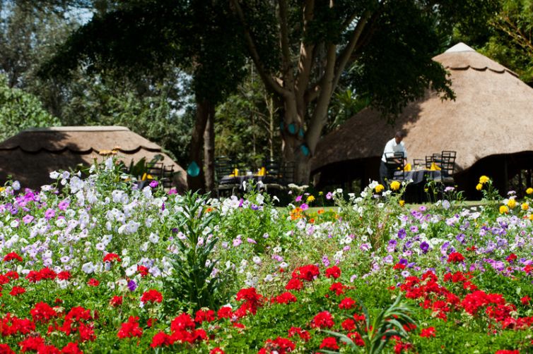 Ngorongoro Farm House exterior flowers