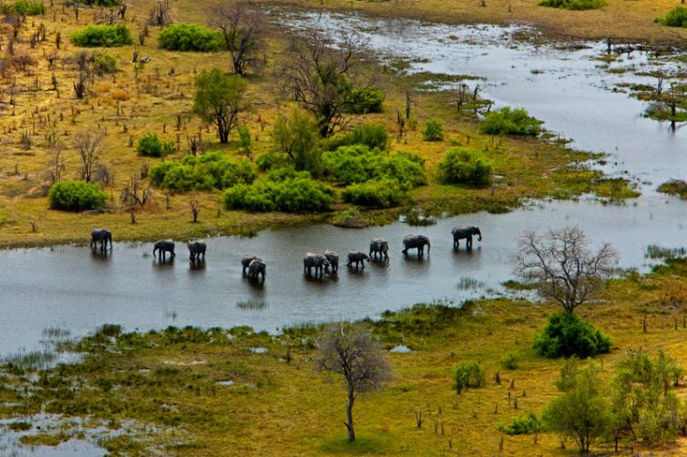 Selinda Explorers Camp Elephant Spillway