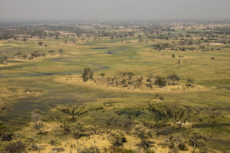 Selinda Explorers Camp Landscape Aerial