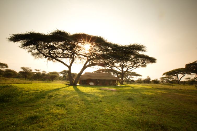 Serian Serengeti Kusini Camp main tent
