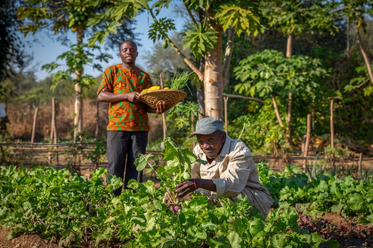 Tafika Camp holiday accommodation in Zambia, Africa