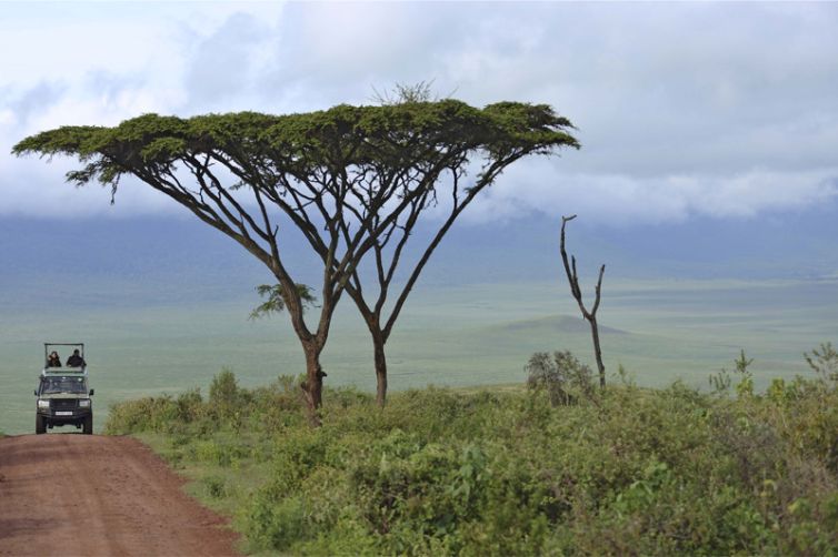 The Highlands Ngorongoro descent road