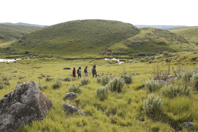The Highlands bush walk Olmoti